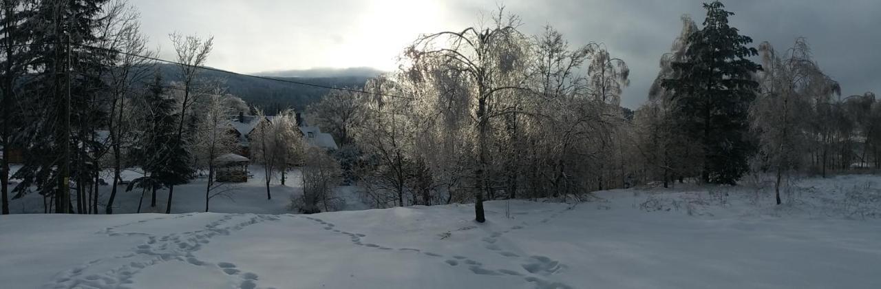 Chwila Moment - Dom W Okolicy Czarnej Gory, Nad Rzeka Villa Stronie Slaskie Bagian luar foto