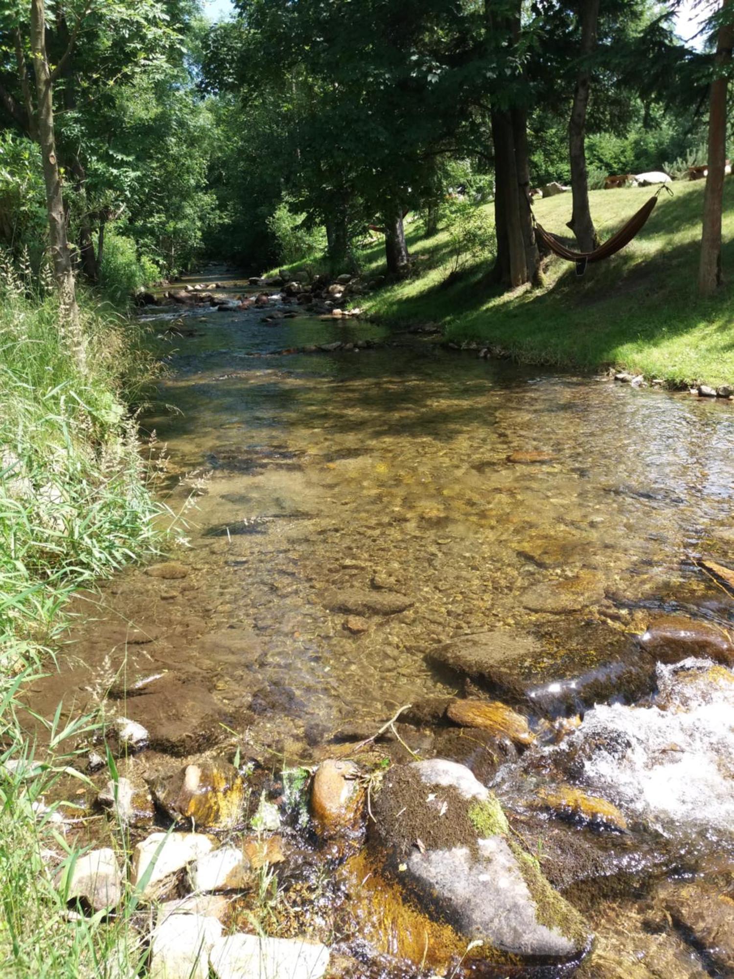 Chwila Moment - Dom W Okolicy Czarnej Gory, Nad Rzeka Villa Stronie Slaskie Bagian luar foto